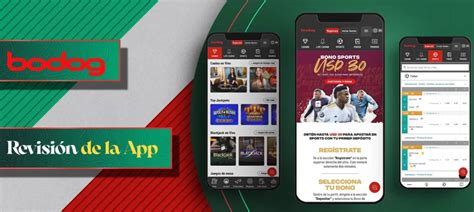bodog android app